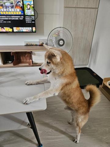 廖先生 - 我也要吃