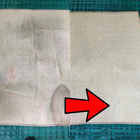 潔宜 - 地毯清洗