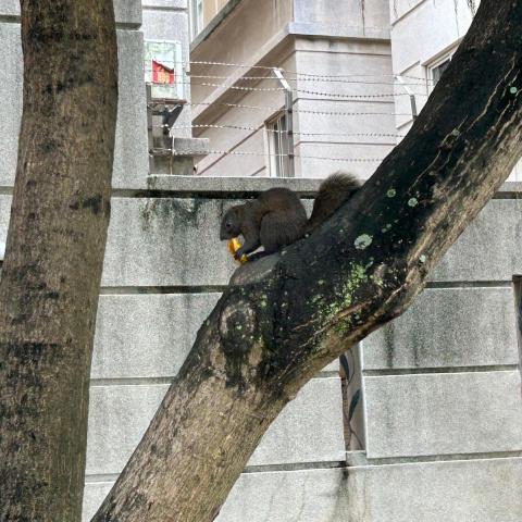 曾小姐 曾小姐