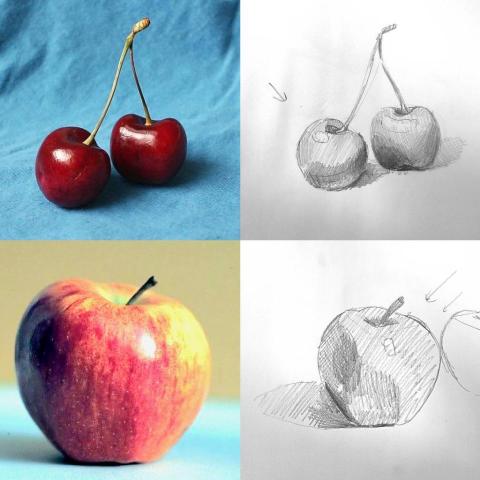 林于玉 Tabby - 素描基本功光源判斷練習（指導學生作業範本）