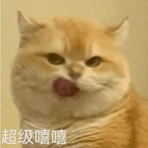 提供多少服務的專家高立豪