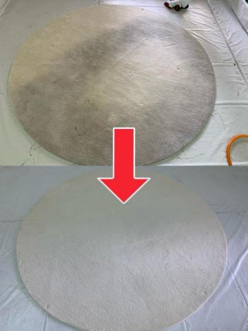 潔宜 - 地毯清洗