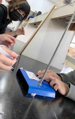 陳德玲 - 探究課程照片