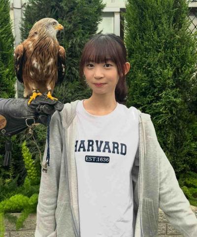 何芸禎 何芸禎