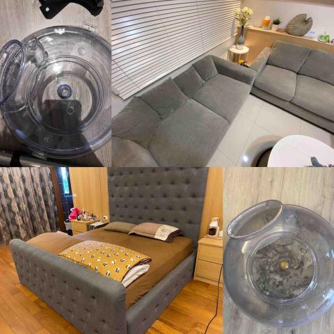 蟎鬧室-專業除蟎到府服務 - 美國氣喘及過敏基金會認證
專業除蟎到府服務