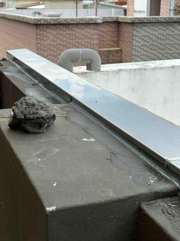 立鑫鋼鋁有限公司 - 