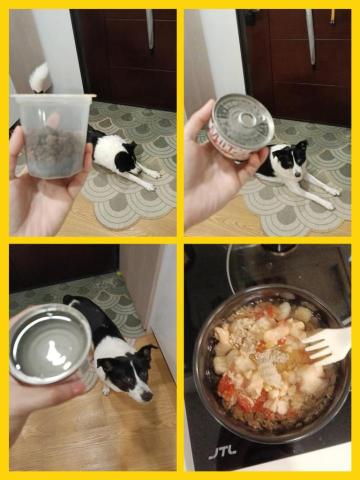 CC寵物保母 - 出國旅遊也不怕毛孩會挨餓，不僅有您家的監視器確保毛孩安全，我也會把照片和影片都傳給您