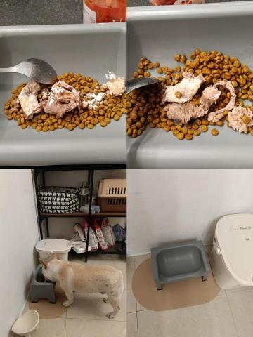 CC寵物保母 - 把藥粉混在飼料裡，毛孩有吃完！