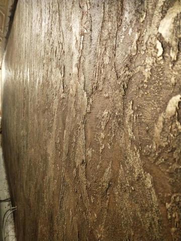 築侑成舍空間有限公司 - 藝術壁面近照