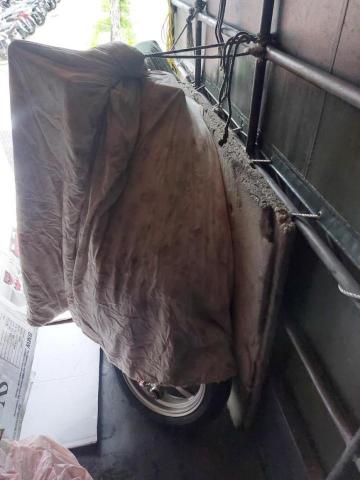 綠沐國際行銷策劃有限公司 - 