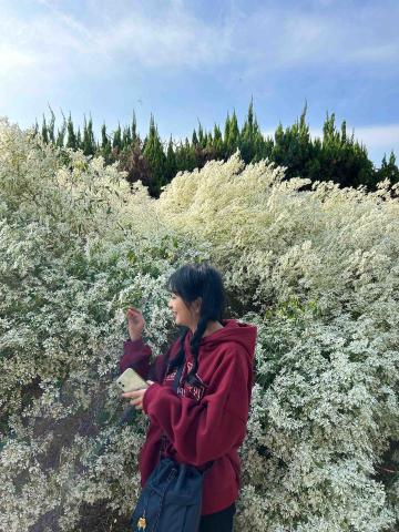 提供erp報名服務的專家MG