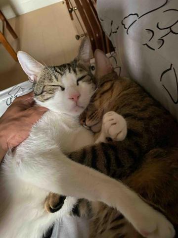 提供家具回收高雄服務的專家小林