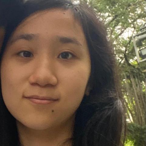 提供卡通劇場版服務的專家林恩