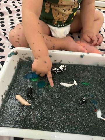 洪語謙 - 感官盆-地球