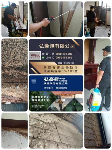 病媒防治人員 - 白蟻防治