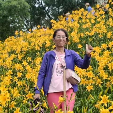 提供應徵服務的專家安安