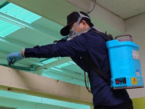 濰淨環衛有限公司 - 白蟻防治