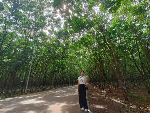 提供北投市場服務的專家張惠嵐