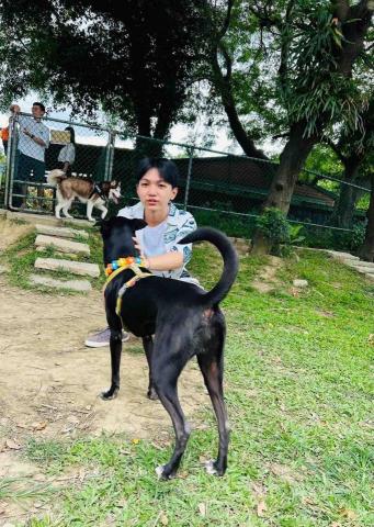 長庚大學 長庚大學