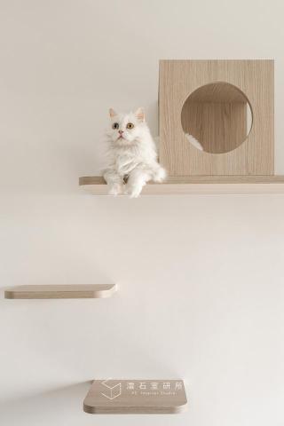 澐石室研所（創力雲室內裝修股公司） - 寵物宅設計(貓宅)