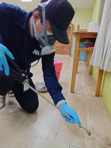 濰淨環衛有限公司 - 白蟻防治