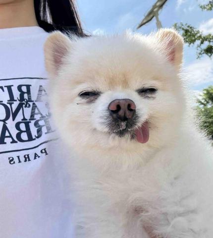 提供台中弱電代工服務的專家Nia