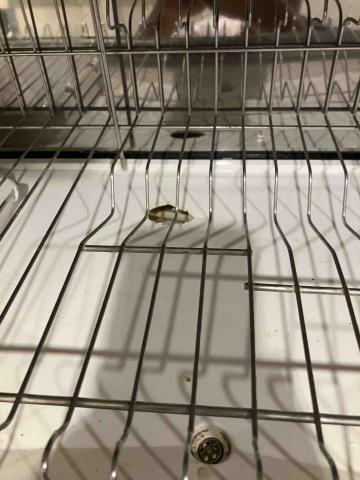 恩典清潔 - 烘碗機清潔