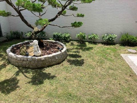 恩典清潔 - 割草