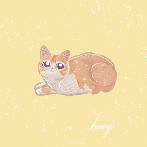 提供價目表排版服務的專家九月米菓插畫設計