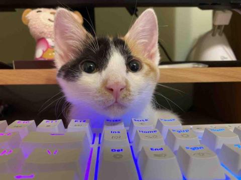 安平燈光設計師推薦楊瑞祺