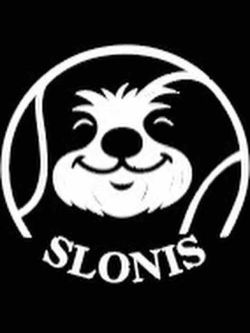 樹懶網球教學中心