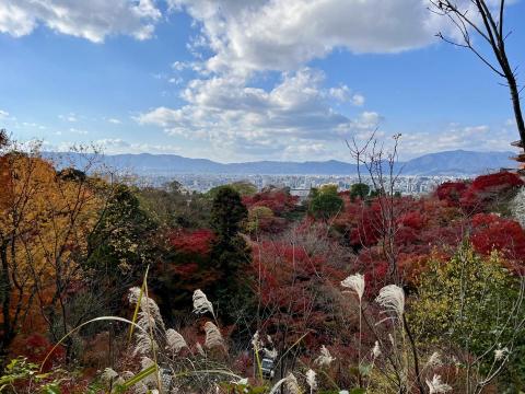 寫作達人 - 層層疊疊的楓紅、黃葉、翠綠，像打翻的調色盤，把整個京都染上了季節的氣息。遠方城市與山巒交疊，藍天白雲之下，空氣也好像變得更透明了。

這就是秋天的京都，靜靜地、卻熱烈地，美得讓人捨不得眨眼。