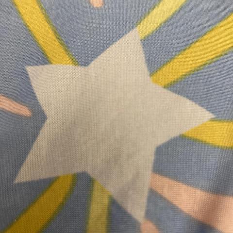 蔡小姐郭師父