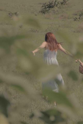 格林曼影像工作室 -  格林曼影像工作室 -