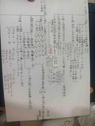 游聖傑 - 心智圖