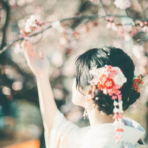 提供包包女服務的專家陳虹妤