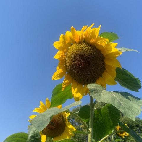 提供分析化學講義服務的專家鄭皓文