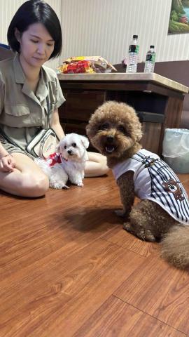 真愛毛寶貝的家 - 