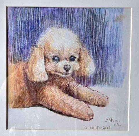 王思驊 - 寵物素描