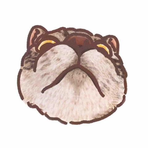 提供capcut轉場服務的專家藍梵云