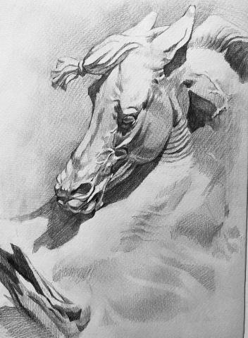 黃書慧 -  黃書慧 -