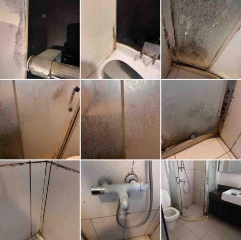 林伶姿 - 廁所除霉 林伶姿 - 廁所除霉