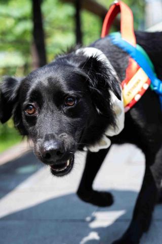 凱凱攝影工作室 -  凱凱攝影工作室 -