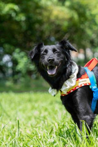 凱凱攝影工作室 -  凱凱攝影工作室 -