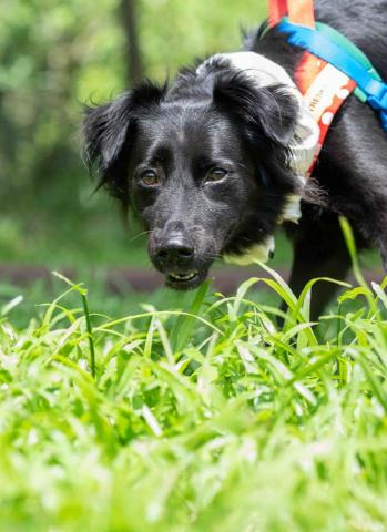 凱凱攝影工作室 -  凱凱攝影工作室 -