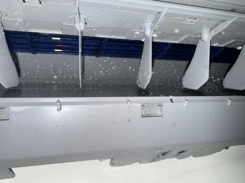 呂子緒 - 洗後風骨照片