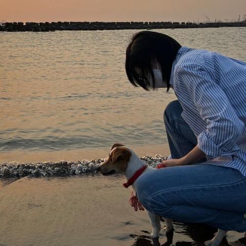 提供應徵服務的專家鄒安