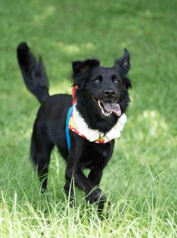 凱凱攝影工作室 -  凱凱攝影工作室 -