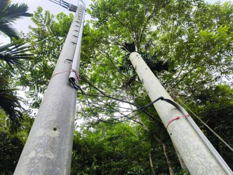 涂智鈞 - 接戶線