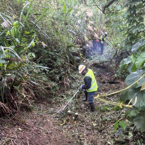 提供除草服務的專家吳金泰